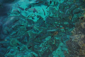 Aguas que ver y hacer en Menorca