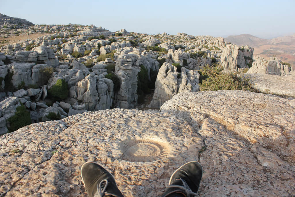 antequera-torcal-fosil