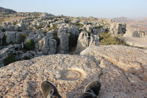 Fosil en el Torcal de Antequera