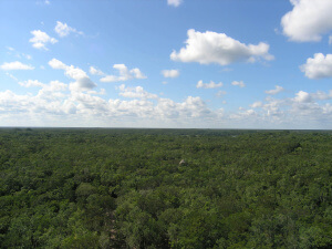 Cobá en Riviera Maya
