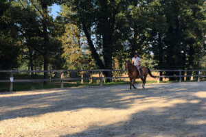 Montar a caballo en Eslovenia