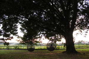 Balancines en Big Berry