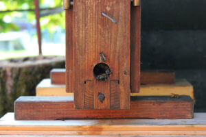 Artesanos de miel cerca de donde dormir en Eslovenia