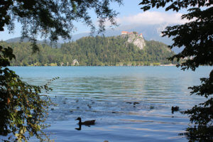 Lago Bled Castillo que ver y hacer en Eslovenia