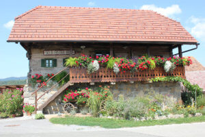 Escuela que ver y hacer en Eslovenia