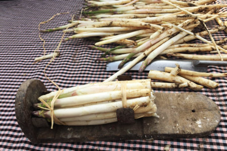 Esparrago de Gava agrupado