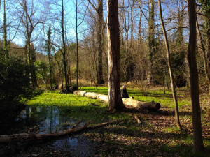 La Moixina en La Garrotxa en Catalunya