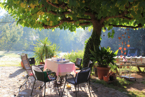 Mesa para el té en el Montseny