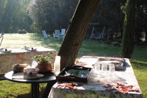 Detalle de decoración para el desayuno campestre en el Montseny