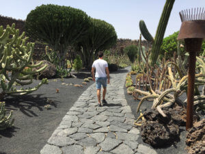 Jardin del Cactus en Lanzarote