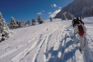 Excursion con raquetas de nieve en La Molina