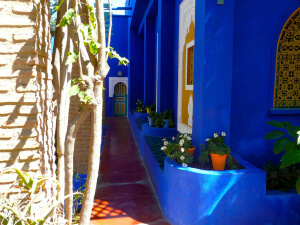 Le Majorelle en Marruecos como uno de los lugares más coloridos del mundo