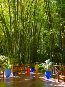 Le Majorelle en Marruecos como uno de los lugares más coloridos del mundo