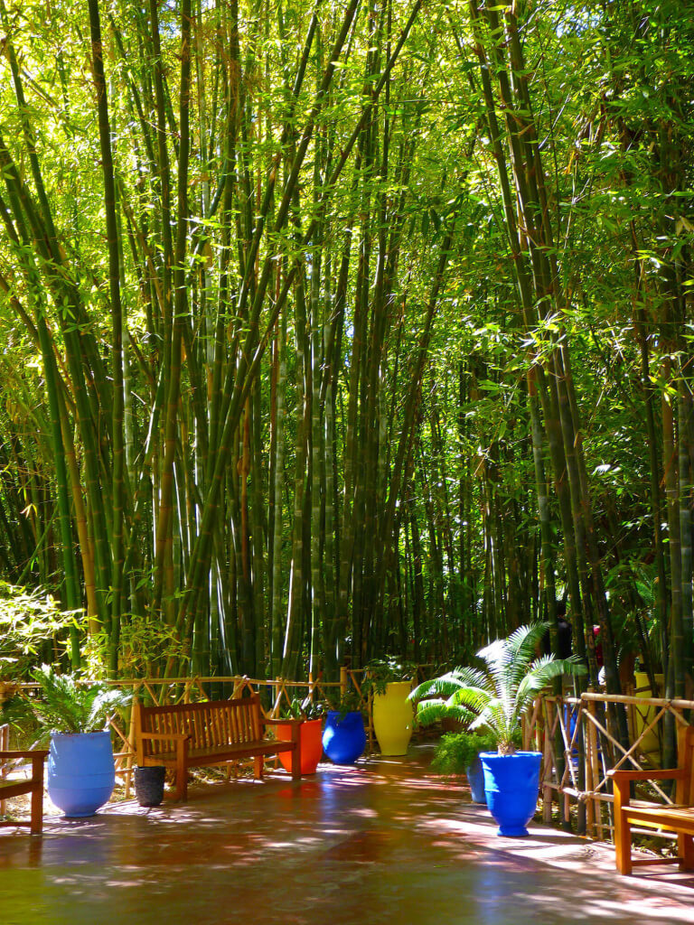 Le Majorelle jardín