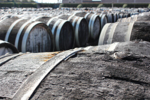 Botas de Noilly Prat en Marseillan