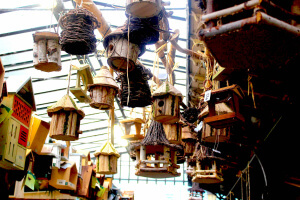 Castias de pájaros en el Mercado de las Flores que ver en París