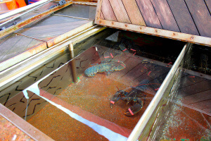 Peceras en el mercado del pescado que ver en Bergen