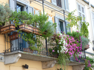Navigli que ver en Milan