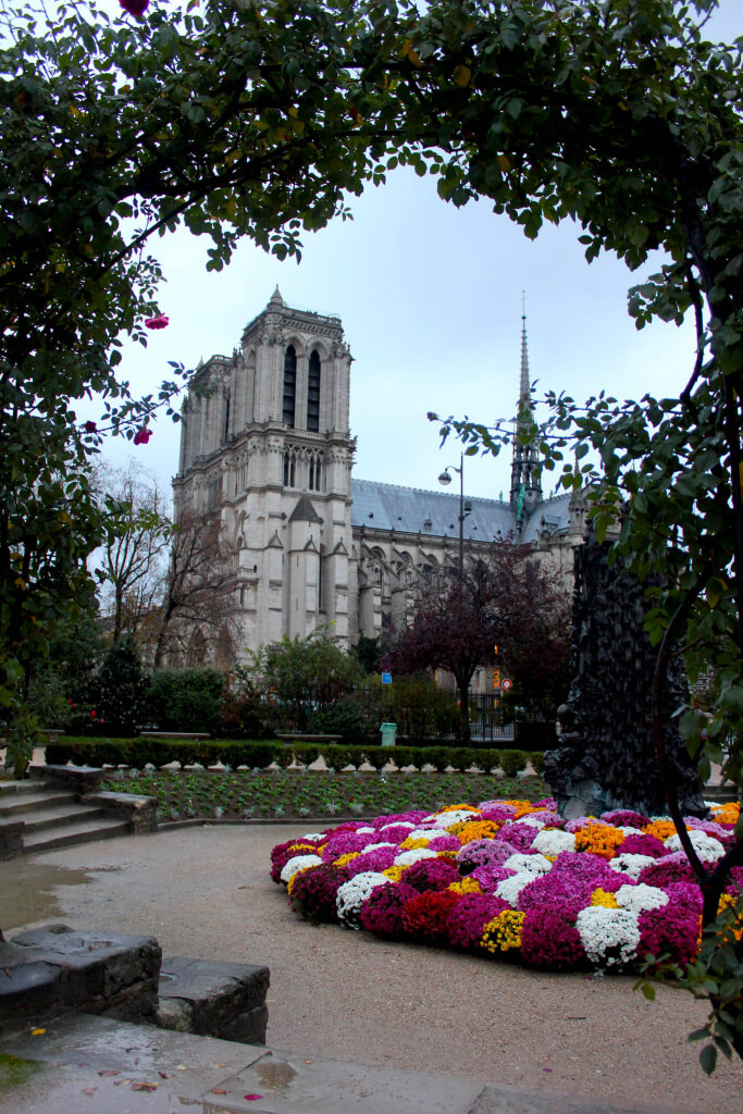 Notre Dame PARQUE