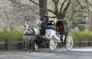 Coche de caballos en Nueva York