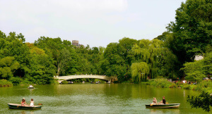 Parque en Nueva York
