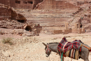 Burro y teatro romano que ver en Petra