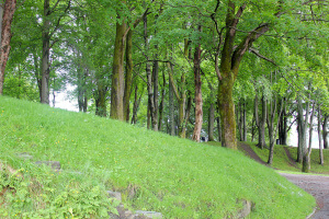 Bosque del Parque Nordnes que ver en Bergen