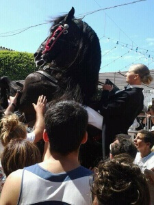 Fiestas de Sant Lluis que ver y hacer en Menorca